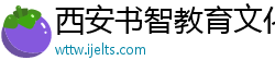 西安书智教育文化传播有限公司